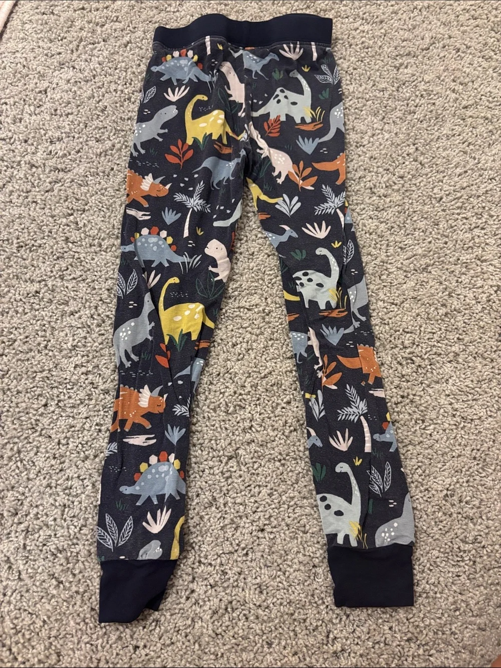Little Sleepies Dino PJs